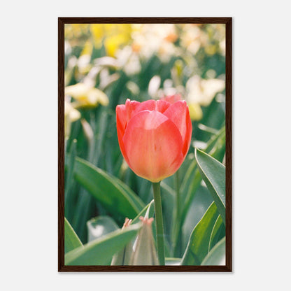 94870bb3-de14-427f-9156-d7488029a1d7