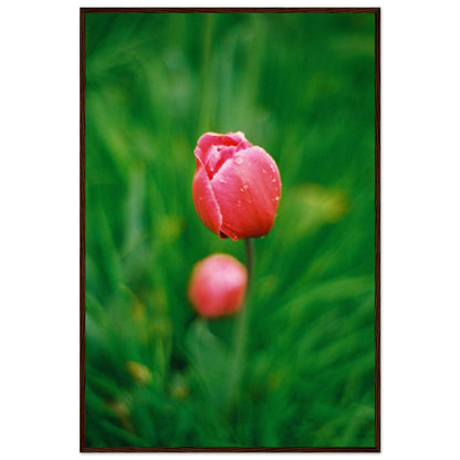 9852269b-128c-4c28-afa0-ac612f27f097