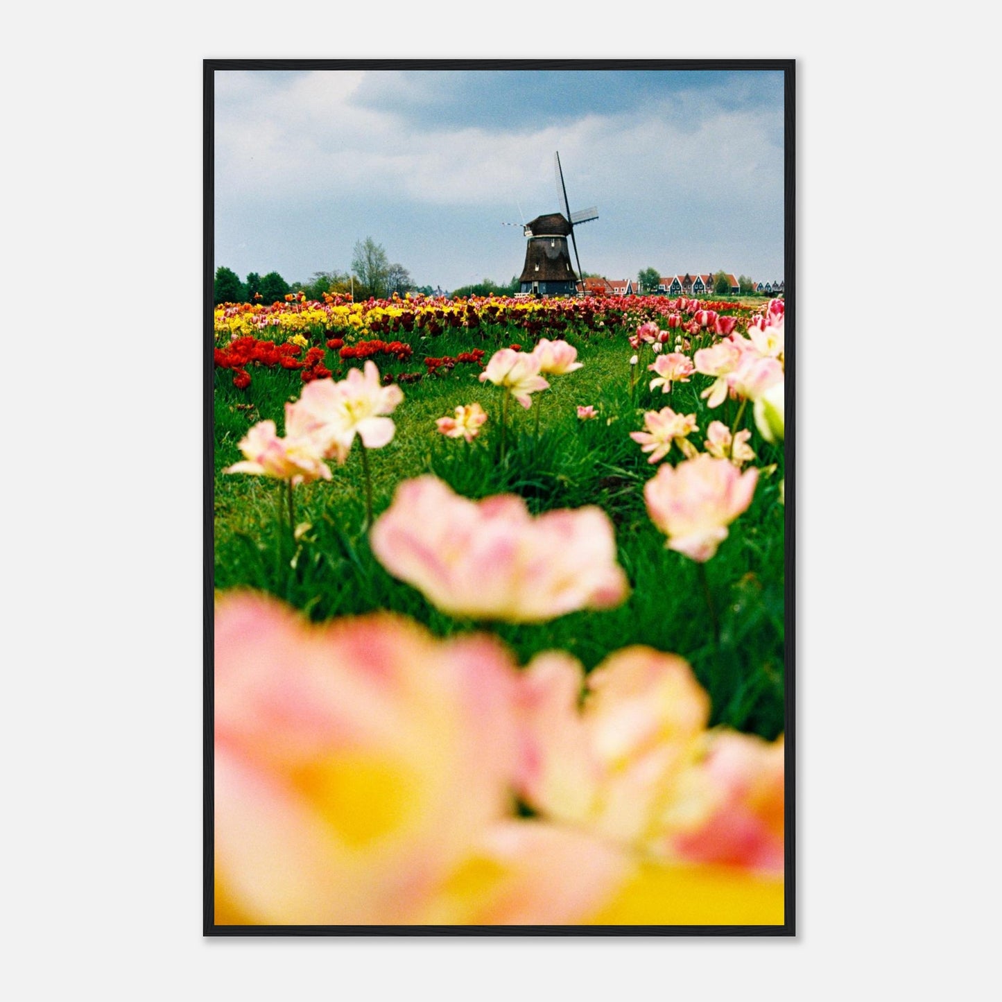 9c2324a4-6c95-40ef-8e0e-47b0400e76d5