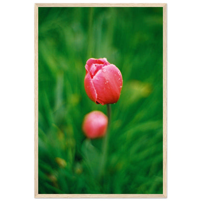 a5d118ea-874d-43ee-a994-2b3f33800b3d