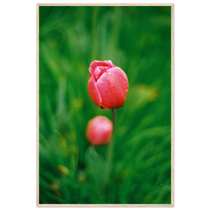 a8bcbdf0-194f-4096-9693-1dba07be0b7e