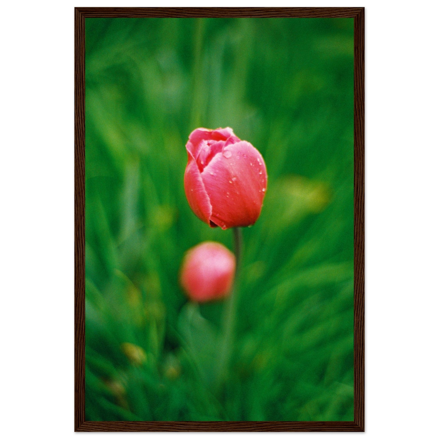 ad59c603-eac4-46de-b205-02ea1931c4ec