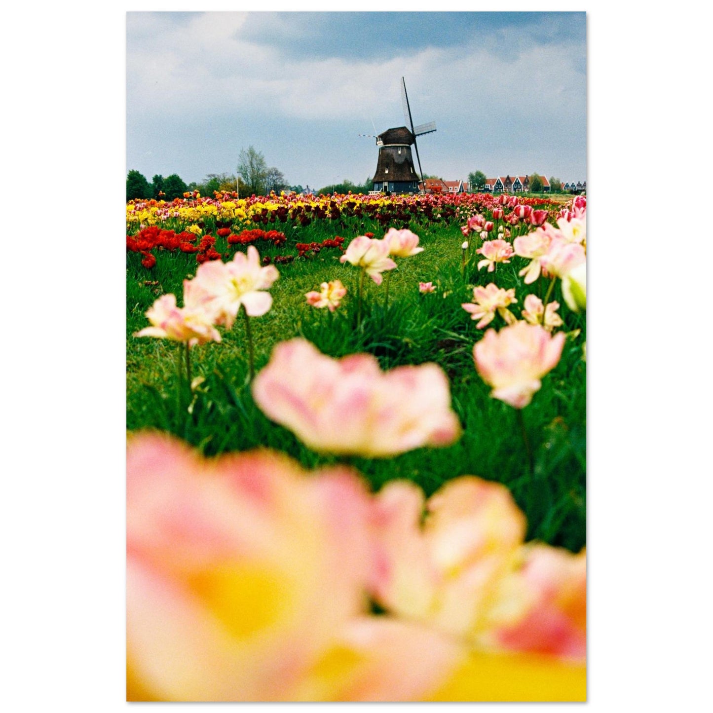 b82302f9-1899-42ed-93ea-120e6c3ccafc