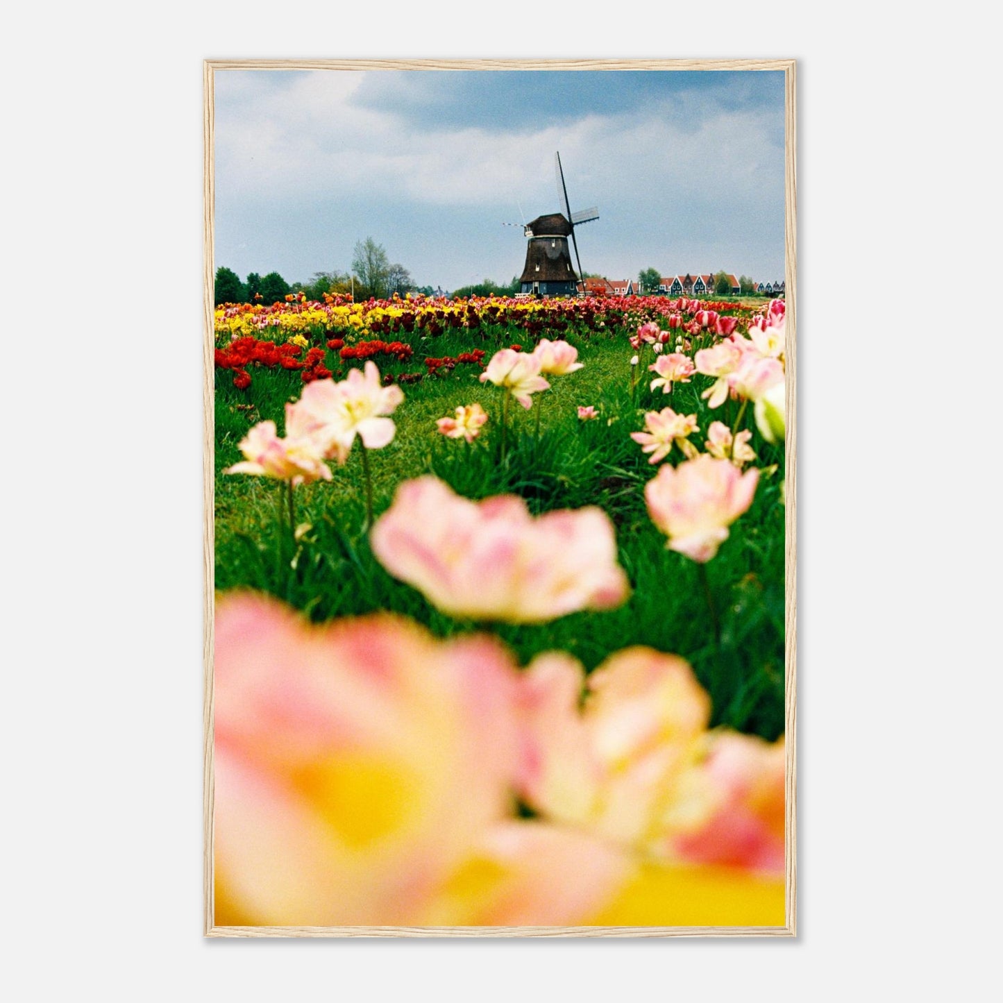 b9394c8f-5430-447a-a536-92b9ef80364a