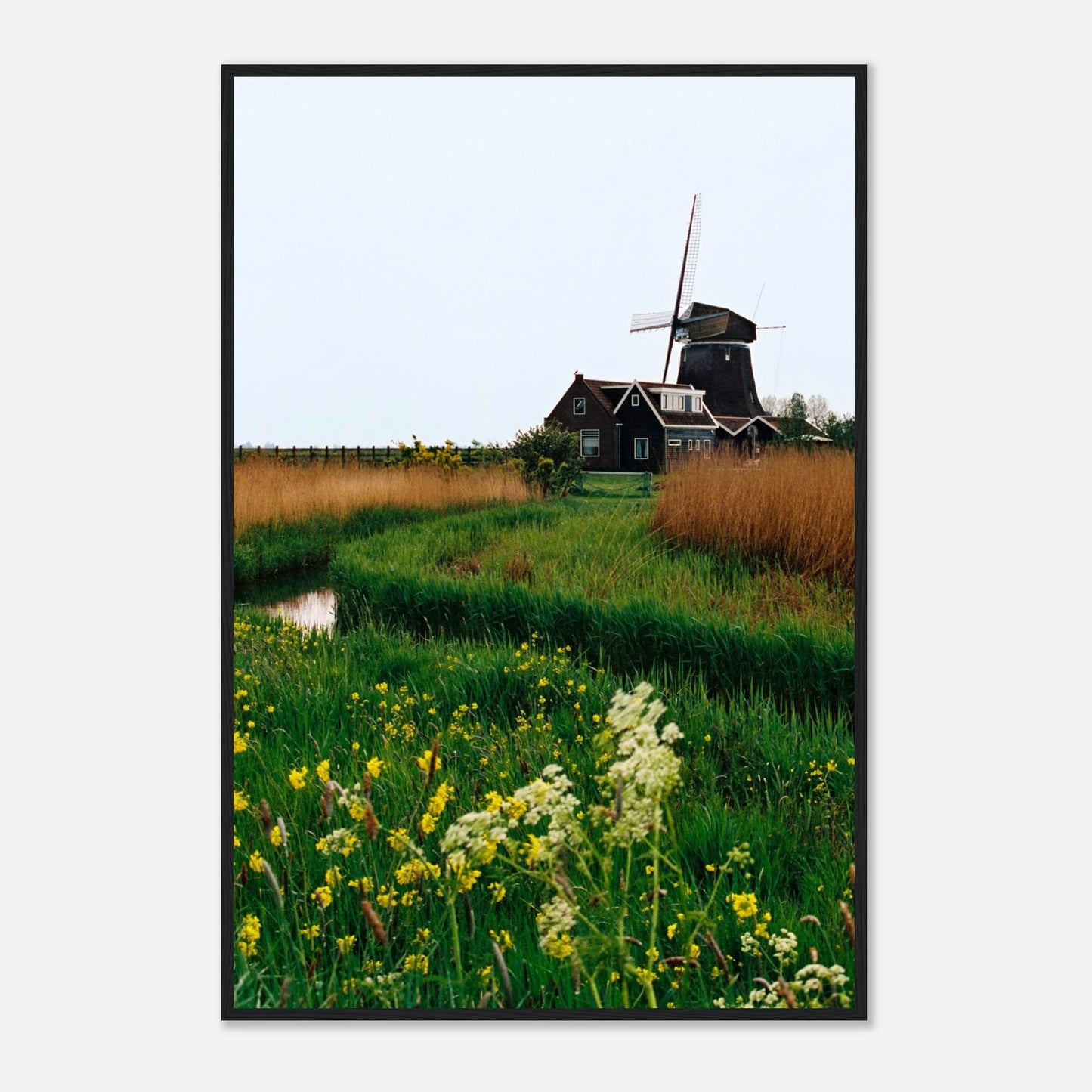 bb68872f-858f-42aa-bc65-2cff56b4de3a