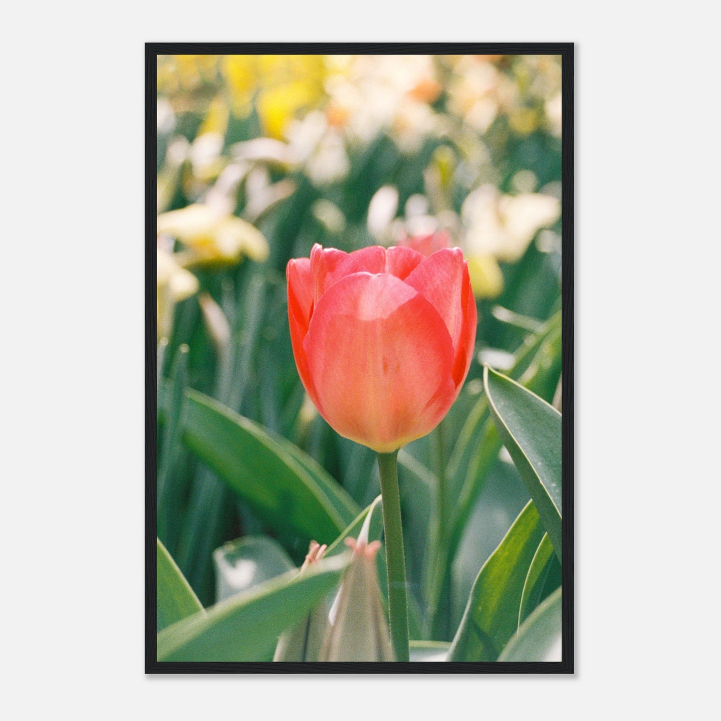 c3035dae-fdee-4233-ad4f-cadd4c83241a