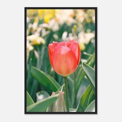 c3035dae-fdee-4233-ad4f-cadd4c83241a