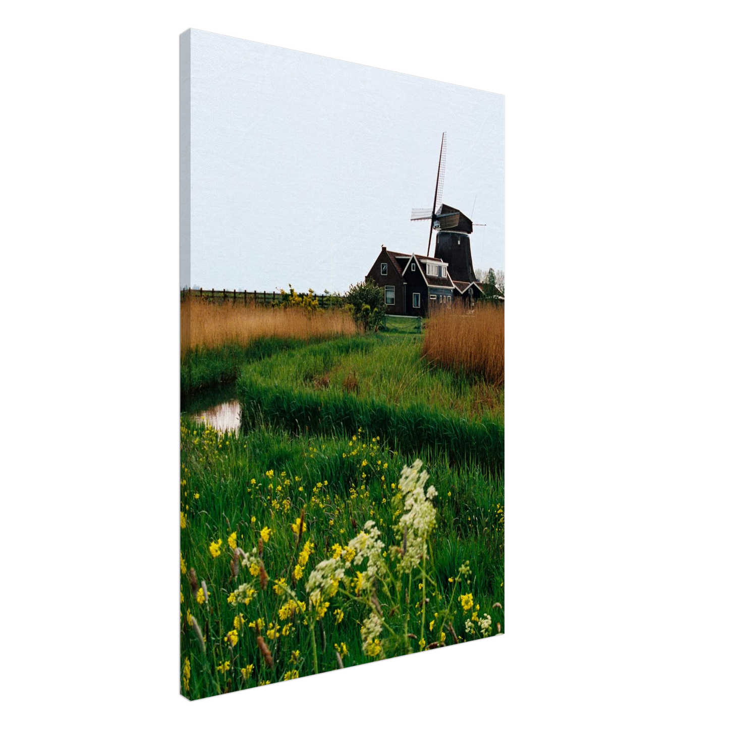 c707ec92-9521-4881-b9fc-0776a15ca8de