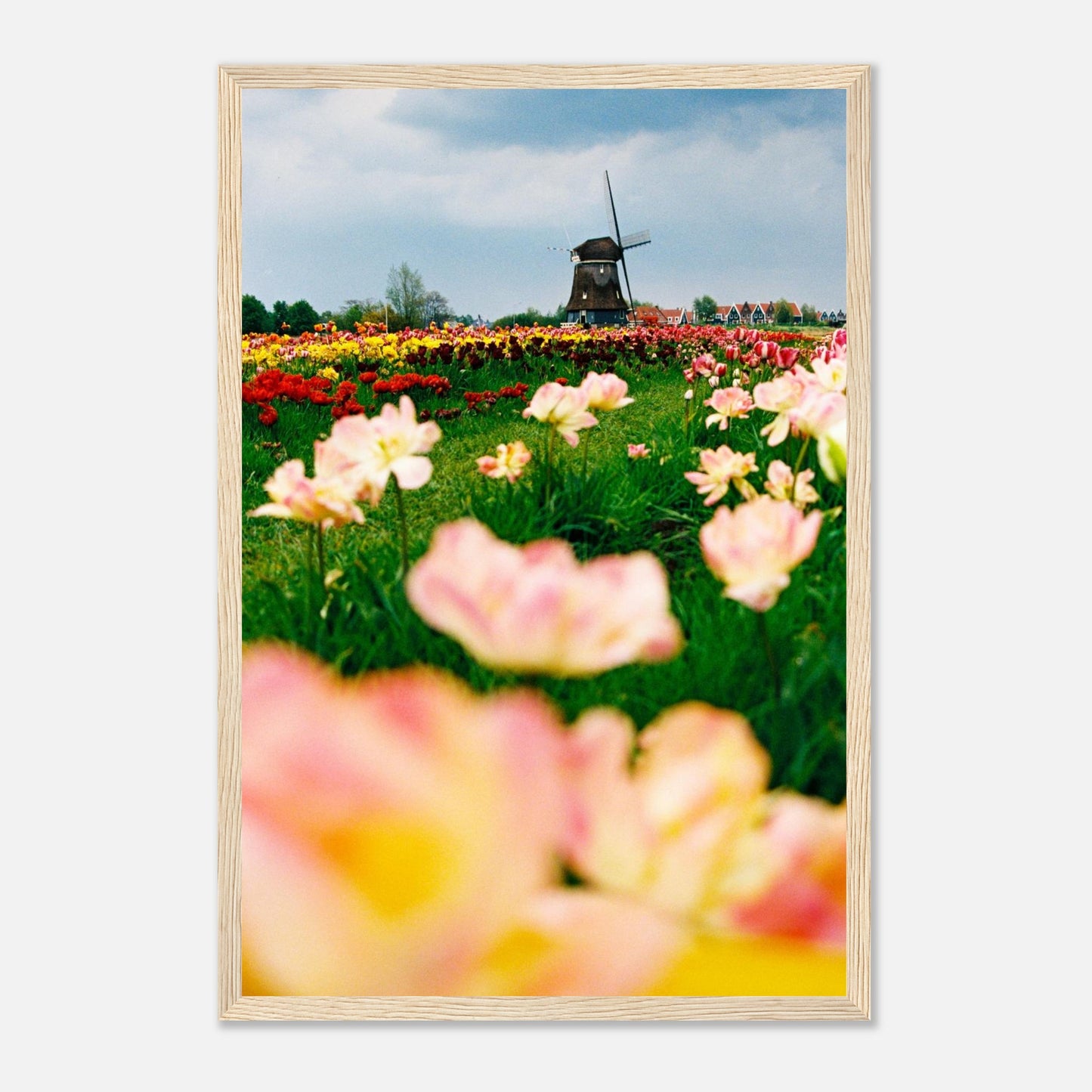 cd6cf2eb-5c5e-4760-8e89-360f7628fd47