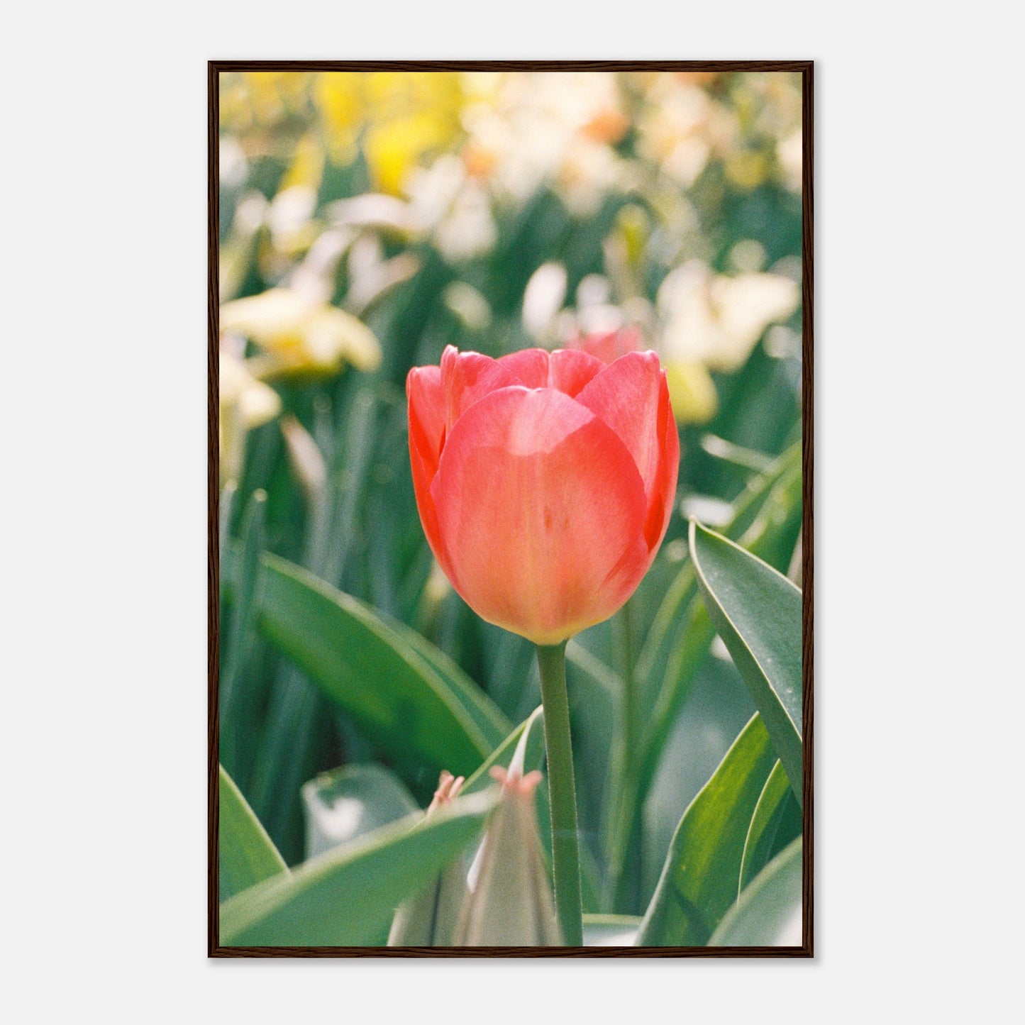 d403c494-089b-4ddf-9a76-9ca3f62901f0