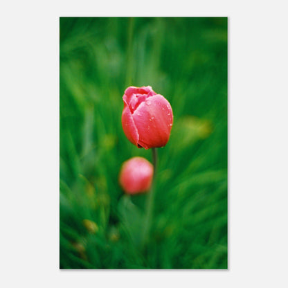 d4d695b5-7f20-45b3-aec5-3df261dc72e9