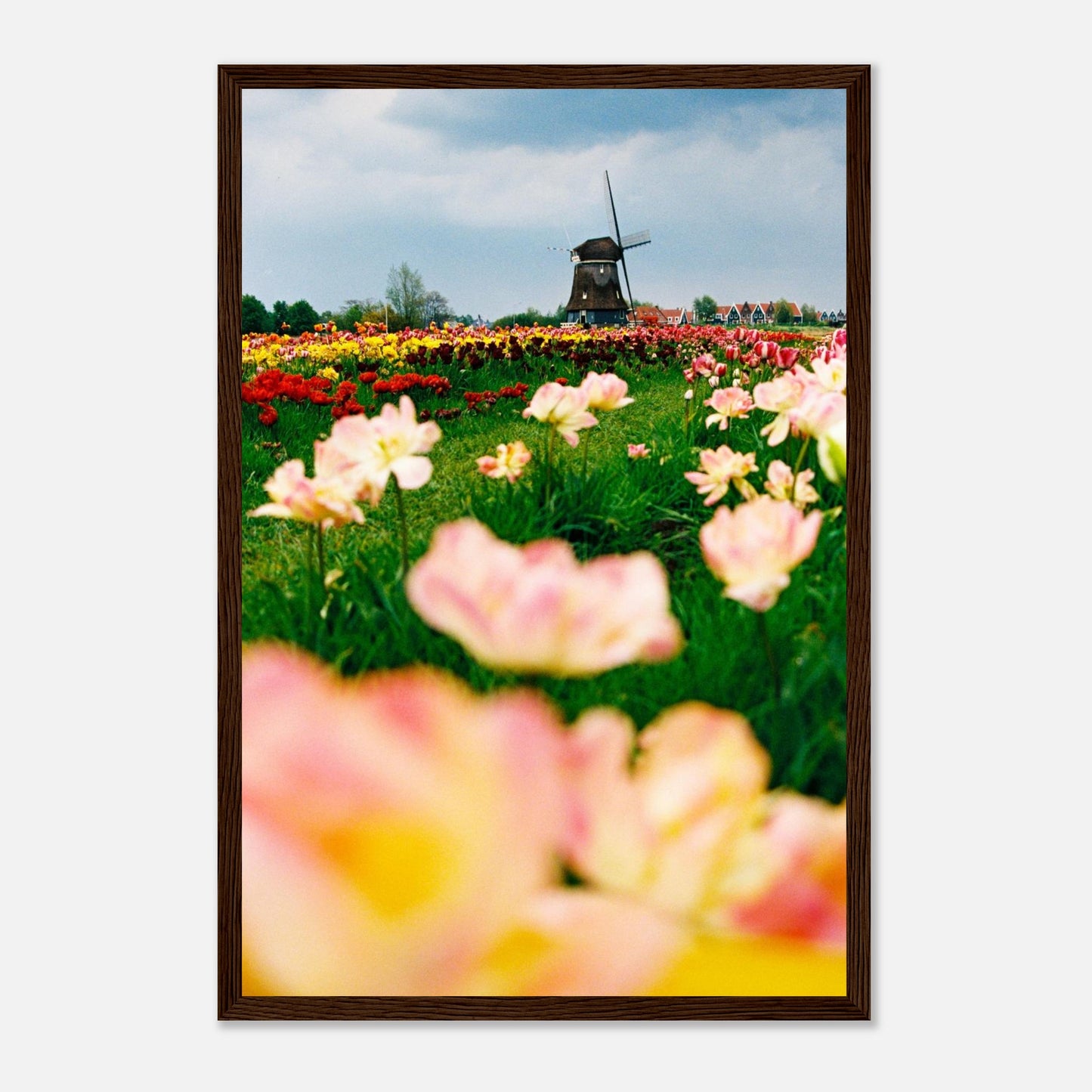 d63665d6-2aa5-43eb-9fc9-1402509df244