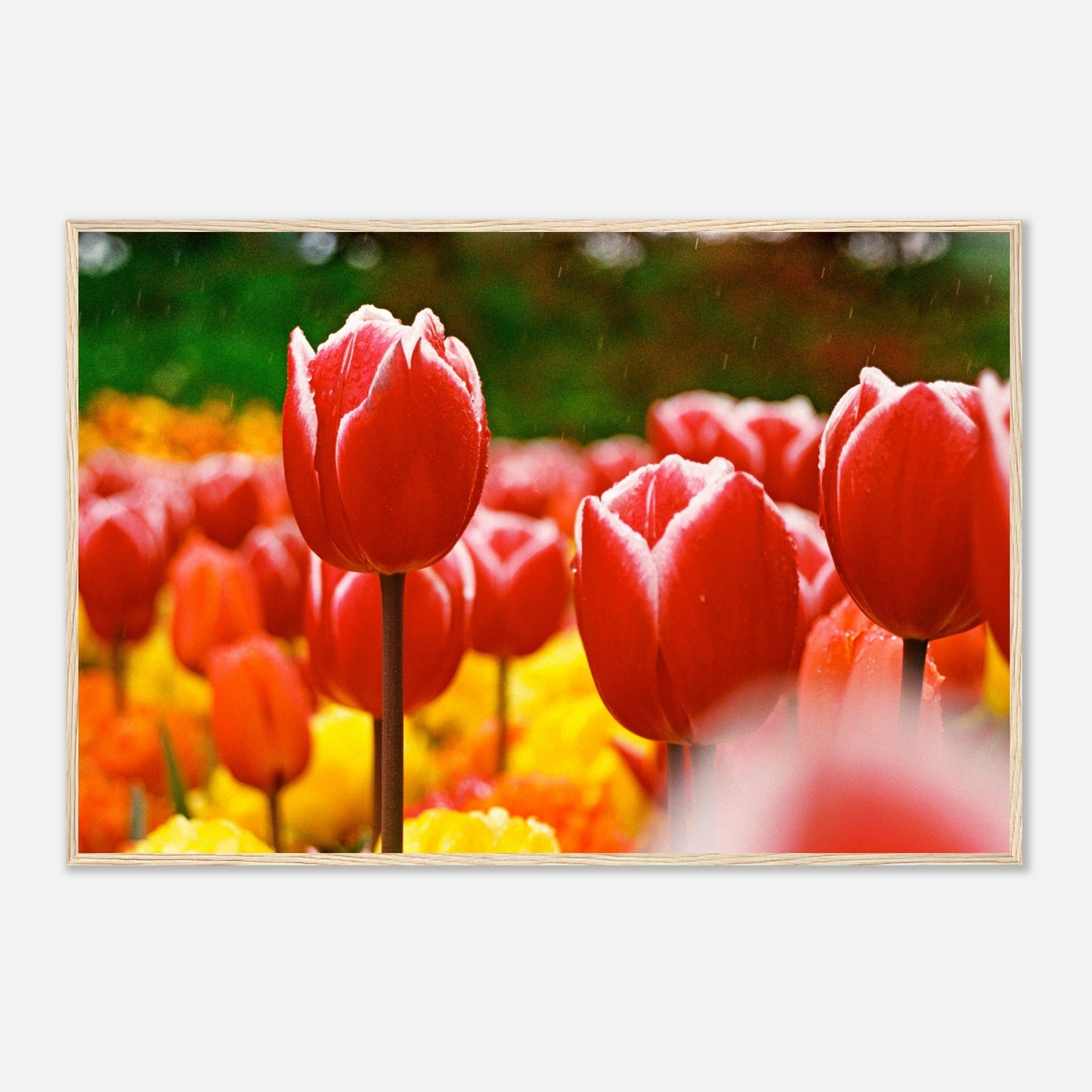 d745cc58-787b-46ce-a884-32d508a7940e