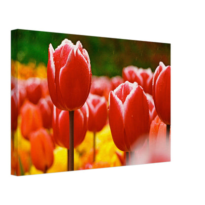 dbc8870f-9839-408b-94be-89f0aed768da