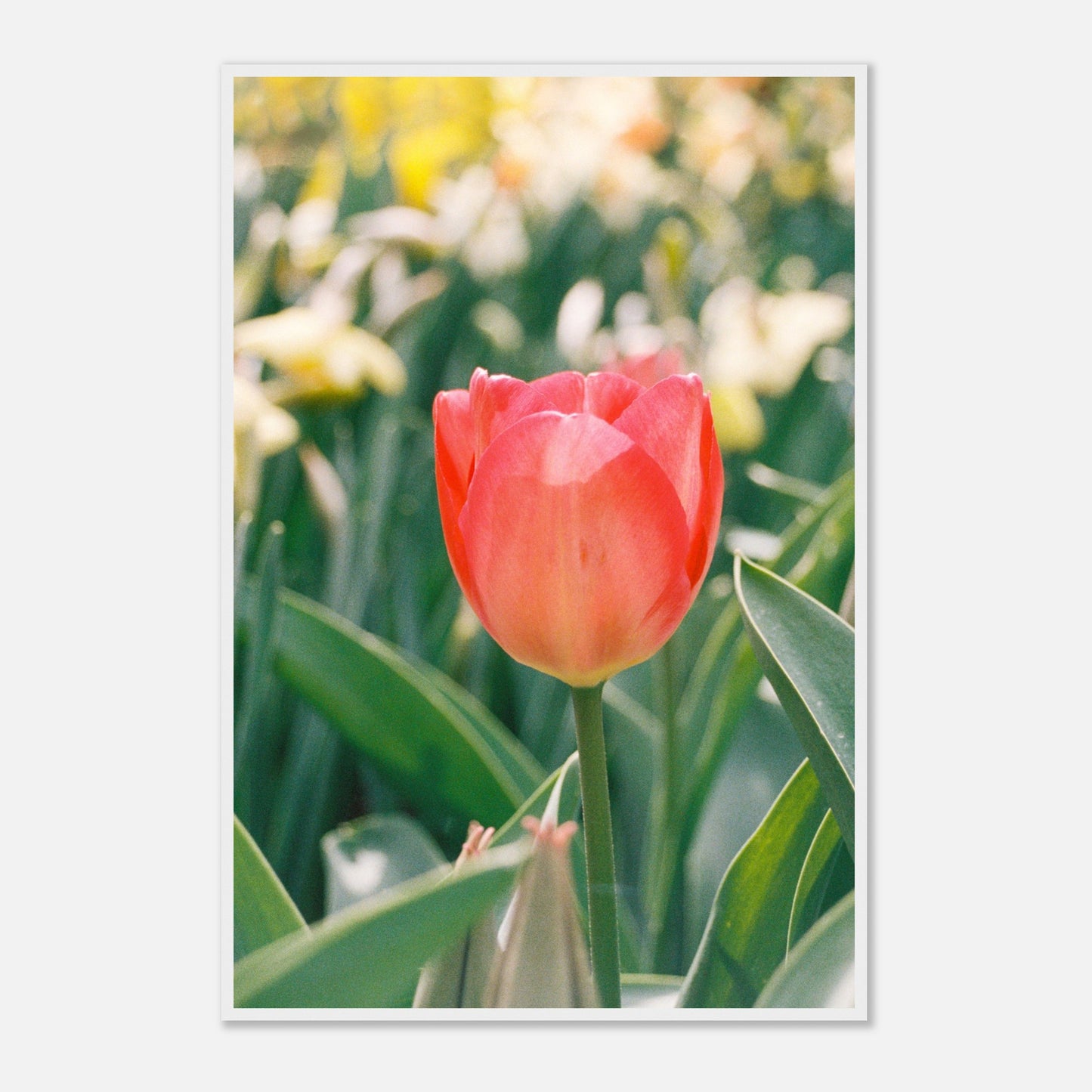 f028eef2-98dc-4149-b735-f189fd09f6c1